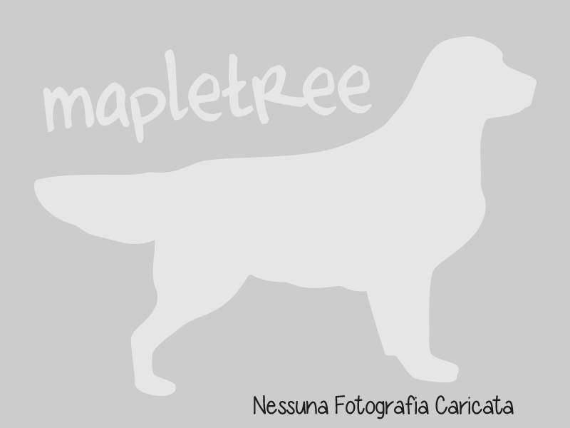 Cucciolata