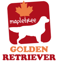 Mapletree