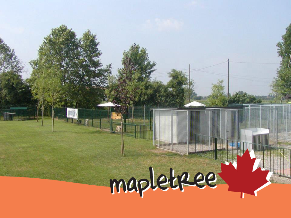 Contatti Maple Tree Treviglio
